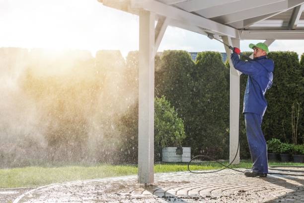 Best Solar Panel Cleaning  in Arcadia, WI
