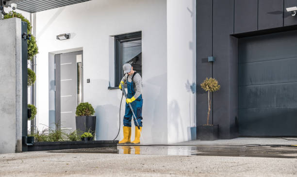 Boat and Dock Cleaning in Arcadia, WI